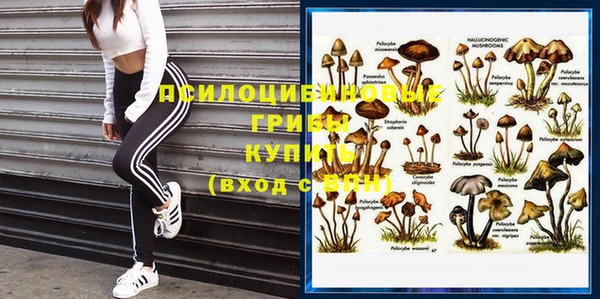 спайс Беломорск